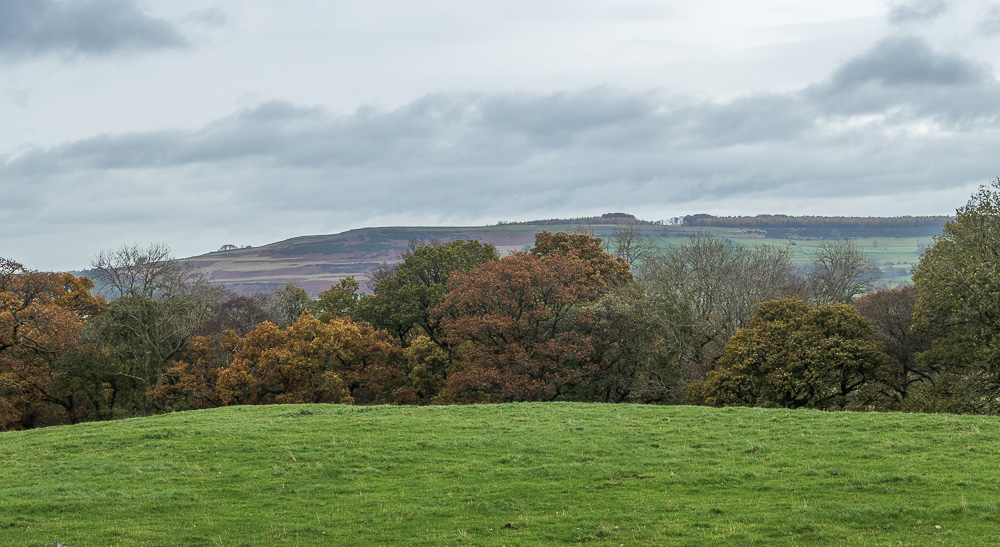 Knipe Scar Knipe Scar